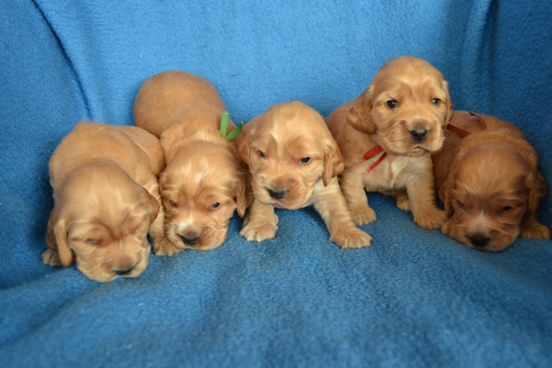 10 Reno, Rey, Roky, Rita, Ron.JPG